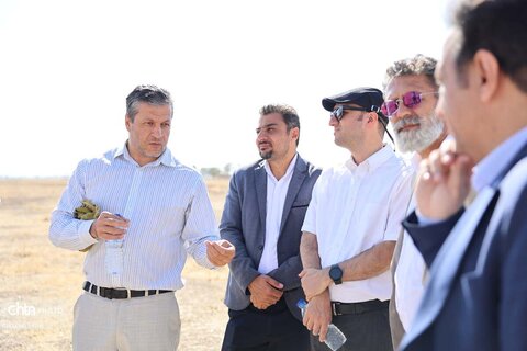 شورای راهبردی