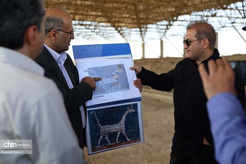 شورای راهبردی