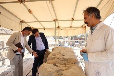 شورای راهبردی