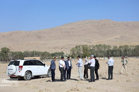 شورای راهبردی