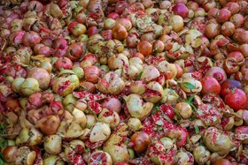 برداشت «اَنارِ مشایخ»