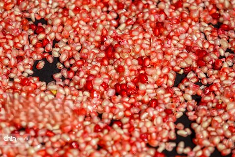 برداشت «اَنارِ مشایخ»