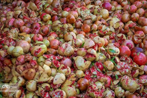 برداشت «اَنارِ مشایخ»