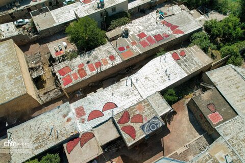 برداشت «اَنارِ مشایخ»