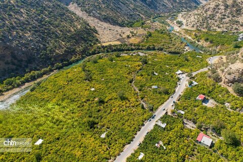 برداشت «اَنارِ مشایخ»