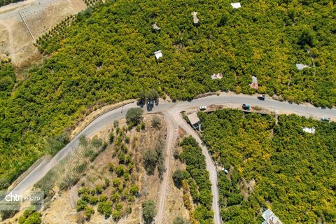 برداشت «اَنارِ مشایخ»