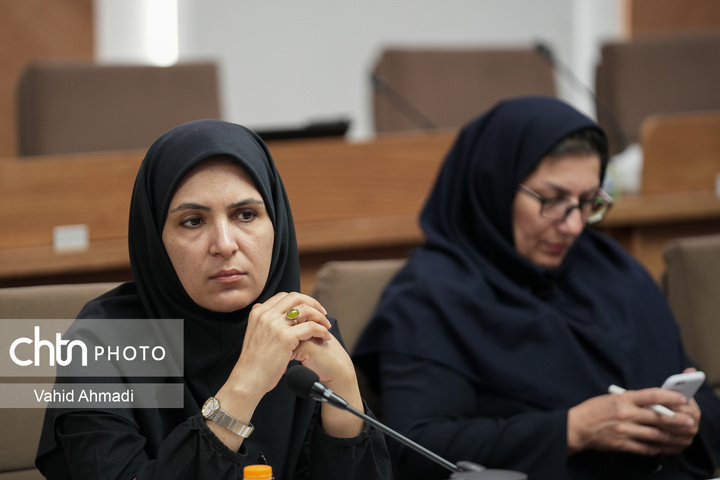 کمیته تخصصی شورای عالی میراث فرهنگی ،گردشگری و صنایع دستی