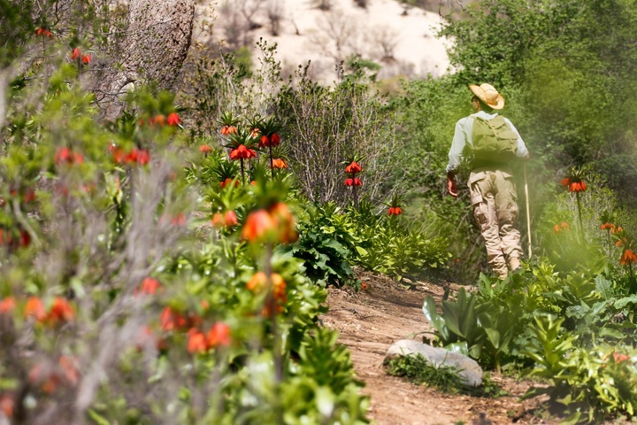 کبیرکوه نگینی در دل زاگرس