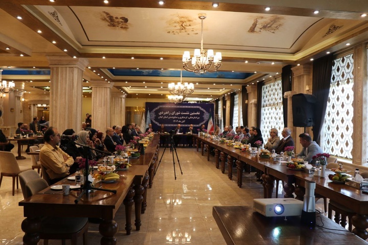 شورای راهبردی