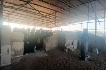 برگزاری کارگاه آموزشی ویژه خواهران بسیجی در محوطه باستانی ویگل/ تأکید بر حفاظت از میراث‌فرهنگی هم‌زمان با فعالیت‌های فرهنگی