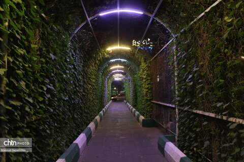 شب های تبریز