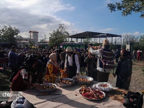 جشنواره انار