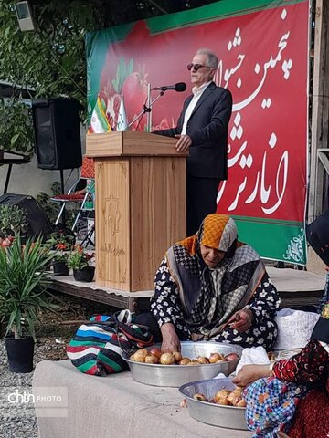 جشنواره انار