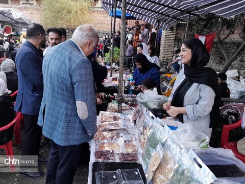 جشنواره انار