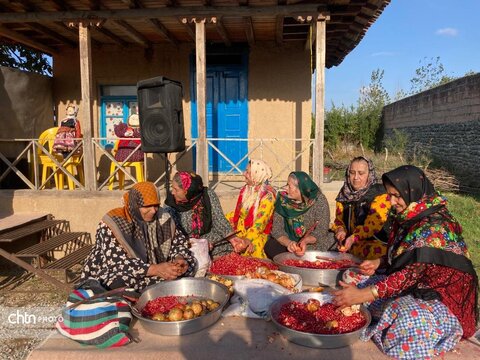 جشنواره انار