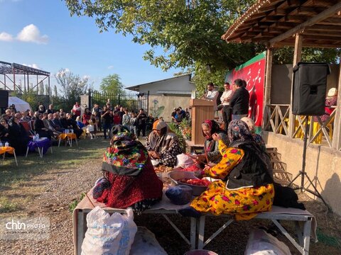 جشنواره انار