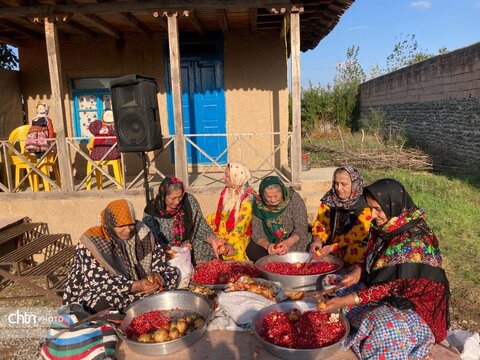 جشنواره انار