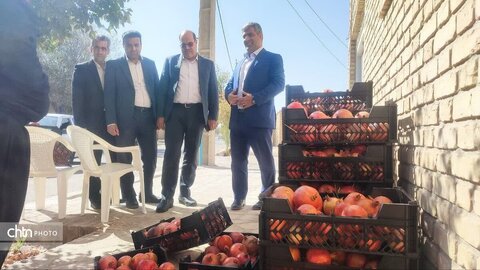 جشنواره انار در روستای تاریخی سریزد برگزار شد