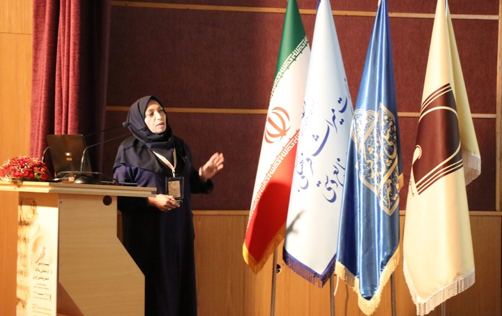 همایش بین‌المللی باستان‌شناسی جیرفت؛ همسایگان و خویشاوندان فرهنگی برگزار می‌شود