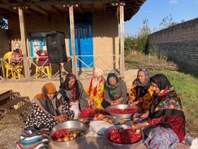 جشن انار ترش در بالاجاده؛ طعم پاییز در دل نگارستان ایران