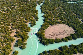 جنگل حرا جاسک