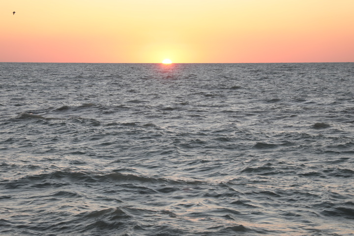 هلیله بوشهر، نقطه‌ای آرام در کنار دریا