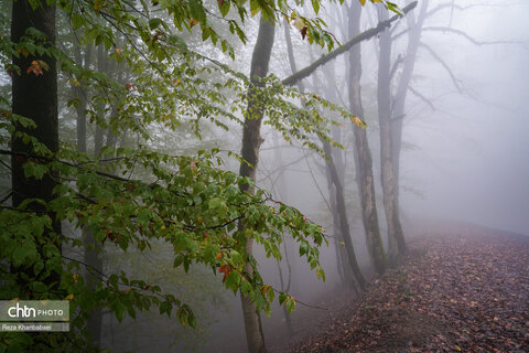 مسیر رویایی خلخال به اسالم