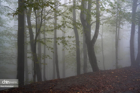 مسیر رویایی خلخال به اسالم