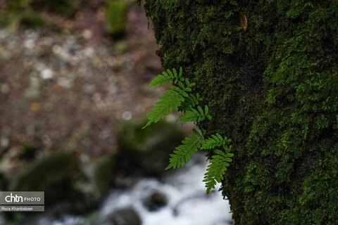 مسیر رویایی خلخال به اسالم