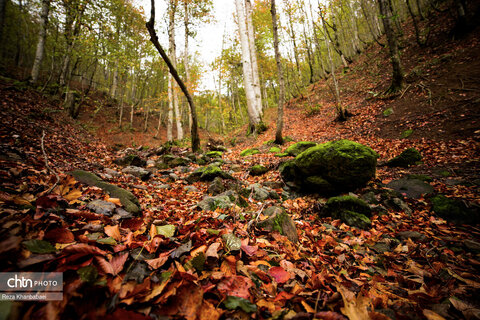 مسیر رویایی خلخال به اسالم
