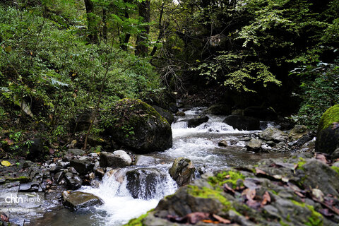 مسیر رویایی خلخال به اسالم