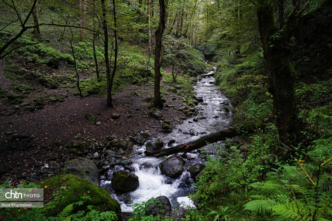 مسیر رویایی خلخال به اسالم