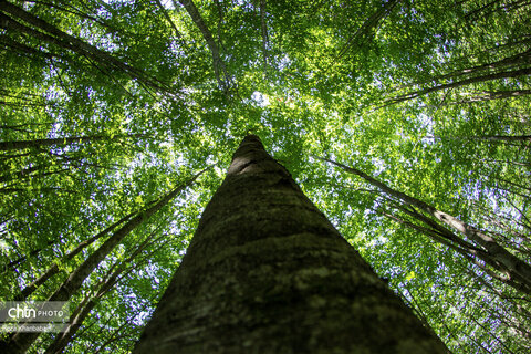 مسیر رویایی خلخال به اسالم