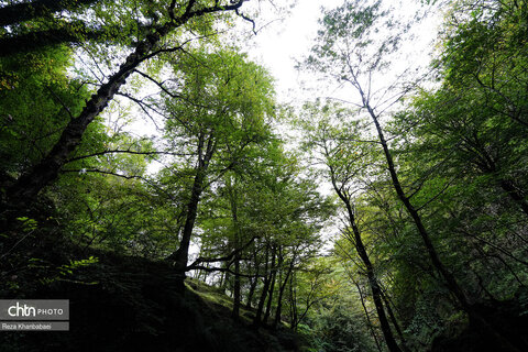 مسیر رویایی خلخال به اسالم