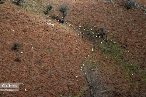 مسیر رویایی خلخال به اسالم