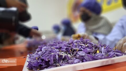 تور آشناسازی گردشگری زعفران با حضور راهنمایان گردشگری، مدیر ان دفاتر خدمات مسافرتی و  فعالان گردشگری، خبرنگاران و اصحاب رسانه از شهرستان زاوه