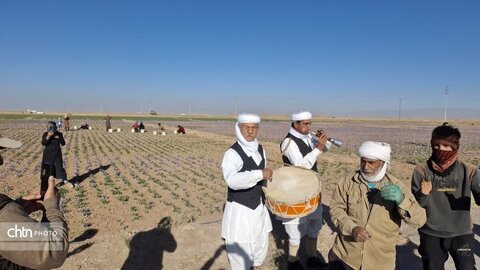 تور آشناسازی گردشگری زعفران با حضور راهنمایان گردشگری، مدیر ان دفاتر خدمات مسافرتی و  فعالان گردشگری، خبرنگاران و اصحاب رسانه از شهرستان زاوه