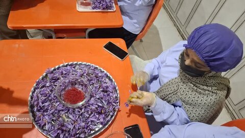 تور آشناسازی گردشگری زعفران با حضور راهنمایان گردشگری، مدیر ان دفاتر خدمات مسافرتی و  فعالان گردشگری، خبرنگاران و اصحاب رسانه از شهرستان زاوه