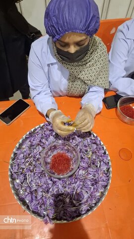 تور آشناسازی گردشگری زعفران با حضور راهنمایان گردشگری، مدیر ان دفاتر خدمات مسافرتی و  فعالان گردشگری، خبرنگاران و اصحاب رسانه از شهرستان زاوه