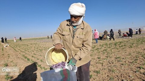 تور آشناسازی گردشگری زعفران با حضور راهنمایان گردشگری، مدیر ان دفاتر خدمات مسافرتی و  فعالان گردشگری، خبرنگاران و اصحاب رسانه از شهرستان زاوه