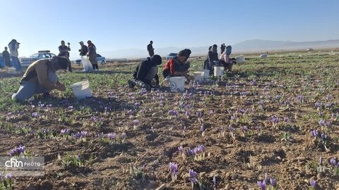 تور آشناسازی گردشگری زعفران با حضور راهنمایان گردشگری، مدیر ان دفاتر خدمات مسافرتی و  فعالان گردشگری، خبرنگاران و اصحاب رسانه از شهرستان زاوه