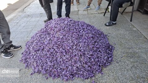 تور آشناسازی گردشگری زعفران با حضور راهنمایان گردشگری، مدیر ان دفاتر خدمات مسافرتی و  فعالان گردشگری، خبرنگاران و اصحاب رسانه از شهرستان زاوه