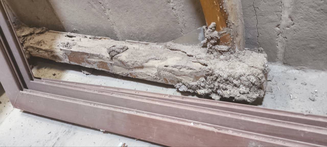 کنترل آسیب موریانه موزه مفاخر اردکان