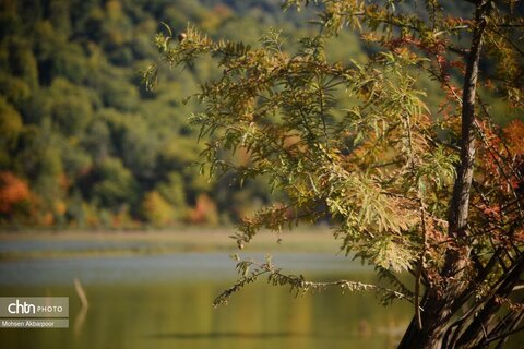 الندان، پس از باران