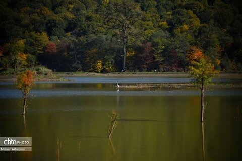 الندان، پس از باران