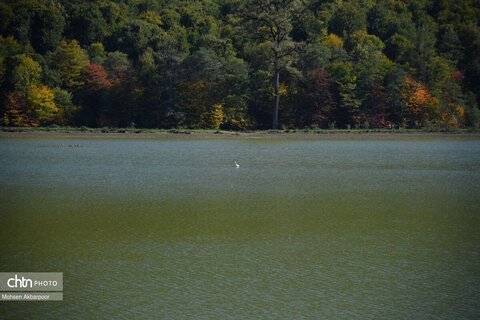 الندان، پس از باران