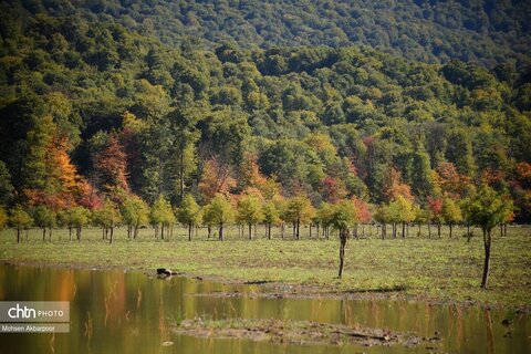 الندان، پس از باران