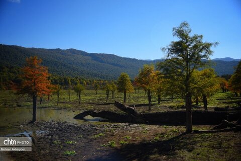 الندان، پس از باران