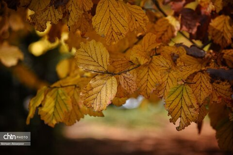 الندان، پس از باران