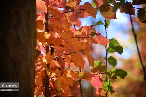 الندان، پس از باران